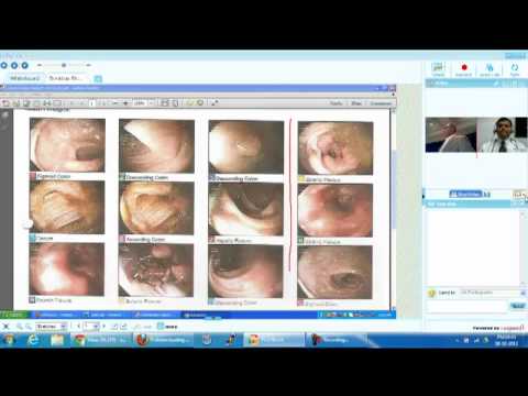 web collaboration